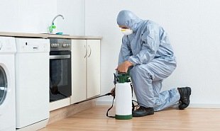 deratizace dezinsekce dezinfekce reference