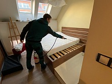 jak poznat blechy v bytě 1