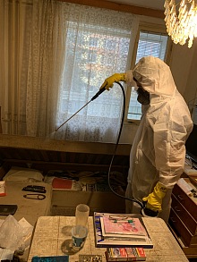 jak poznat blechy v bytě 2