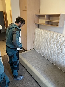 jak poznat blechy v bytě 7