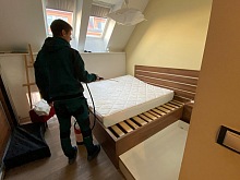 Jak se zbavit štěnic 1