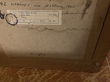 Jak se zbavit štěnic 6