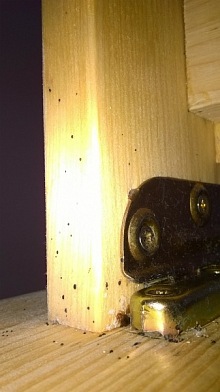 Jak vypadá kousnutí od štěnice 10