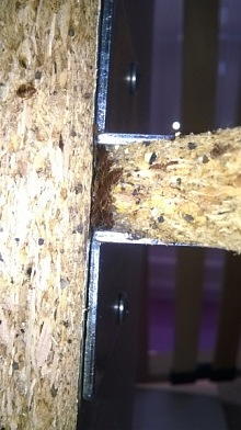 Jak vypadá kousnutí od štěnice 9