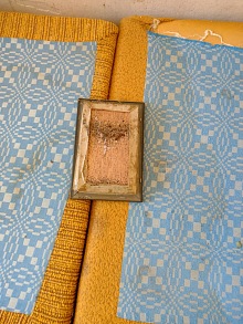 Sprej na štěnice 1