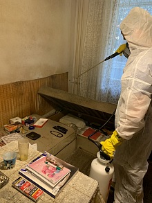 Sprej na štěnice 3