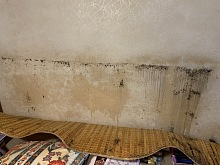 Sprej na štěnice 4