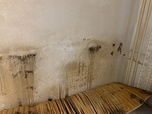 Sprej na štěnice 5