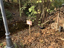 Deratizace Příbram 1