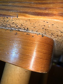 Deratizace štěnic cena 1