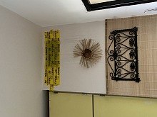 Deratizace štěnic cena 6