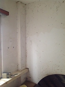 dezinsekce štěnic 3