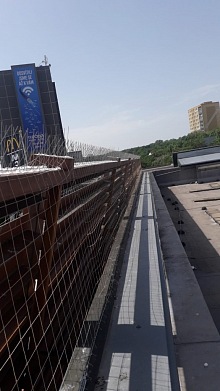 Zábrana proti holubům