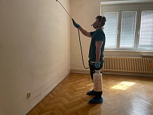 Hubení štěnic 8