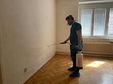 Hubení štěnic 9