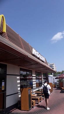 Jak se zbavit holubů Praha