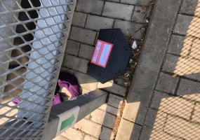 deratizace hlodavců 5