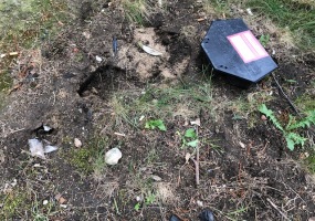 deratizace hlodavců 4