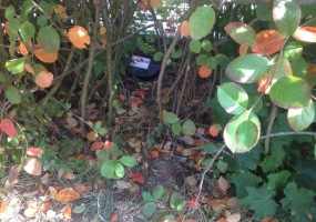 deratizace krys Praha 2