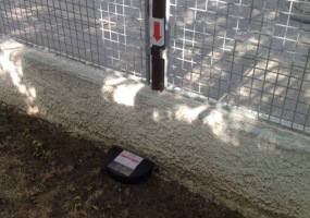 deratizace krys Praha