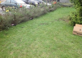 deratizace krys letiště Praha