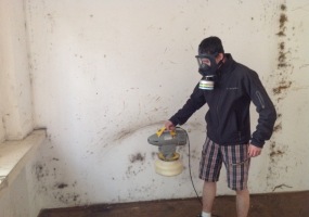 dezinsekce štěnic 5