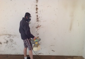 dezinsekce štěnic 4