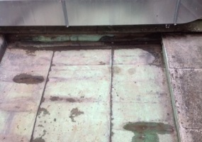 úklid po holubech Praha