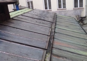 úklid střechy po holubech