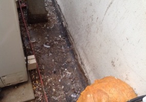 dezinfekce exkrementů